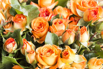 Bouquet of Orange Roses