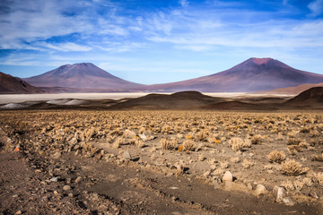 Atacama Desert, Chile