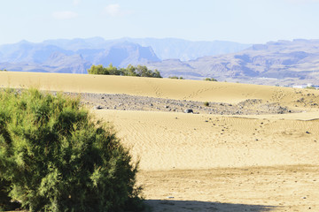 Sand Dunes on Gran Canaria