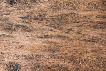 wood texture background