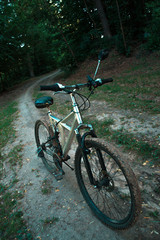 Fototapeta na wymiar Mountain bike on a forest road in the evening.