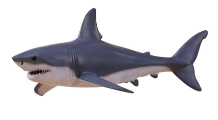 Isolated shark with clipping path