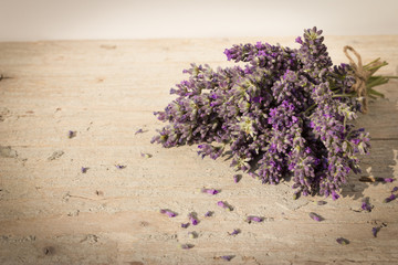 Small bouquet of lavender flowers