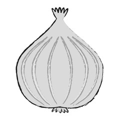 onion vegetable icon image vector illustration design 