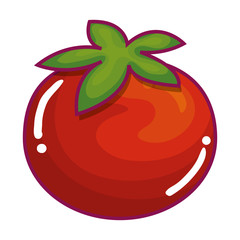 tomato fresh vegetable icon vector illustration design