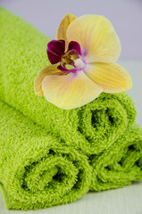 spa concept still life