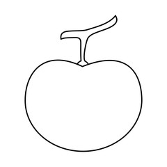 apple fruit icon image vector illustration design  single black line