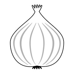 onion vegetable icon image vector illustration design  single black line