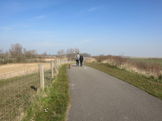 Obraz premium couple and dog on a journey in nature reserve