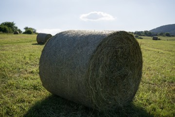 Straw rolls on meadow near forest during autumn. Slovakia