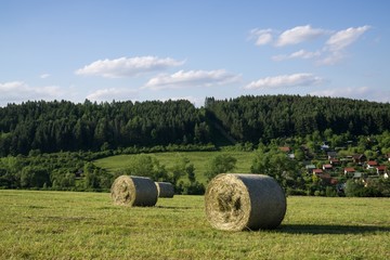 Straw rolls on meadow near forest during autumn. Slovakia