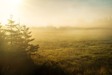 Fog and sunbeams over rural farm fields at dawn.