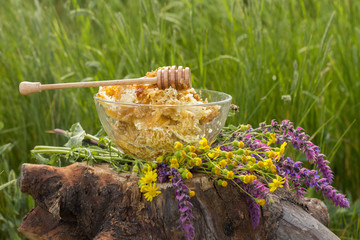 Fresh honey with lavender flowers on a stump in the grass. Still life on nature © denfotoblog
