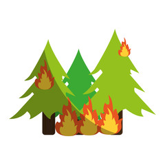 Trees burning in forest icon vector illustration design graphic shadow