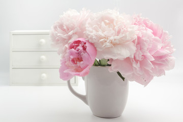 Beautiful pink Peonie flower on light background