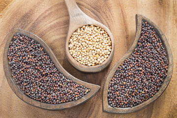 Seeds of yellow and black mustard