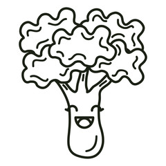 broccoli fresh vegetable kawaii character vector illustration design
