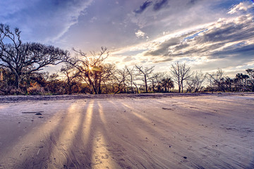 Driftwood Beach, Jekyll Island, GA