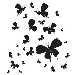 Fototapeta premium 1952