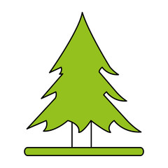 Wonderful tree forest icon vector illustration design graphic flat
