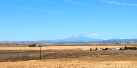 Panorama of scenic rural country view with Mount Adams at background in Eastern Oregon, USA.