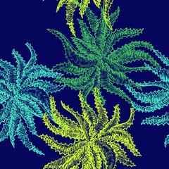 Aloe Vera plant, seamless pattern design, hand drawn doodle, sketch in pop art style, color illustration, blue background