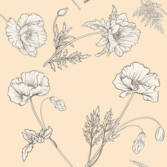 Seamless pattern with poppy flowers in botanical vintage style in pastel colors. Stock line vector illustration.