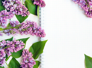 Pattern background of lilac flowers on a light background top view festive