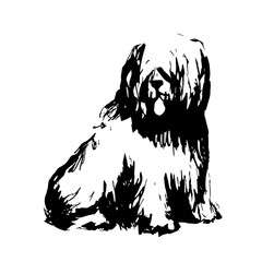 Dog. Black vector puppy on a white background. black & white.