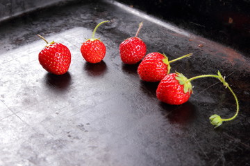 Fresh strawberries in a cellar