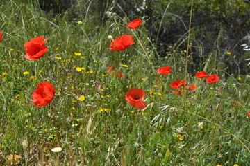 paisajes de hernán pérez, cáceres