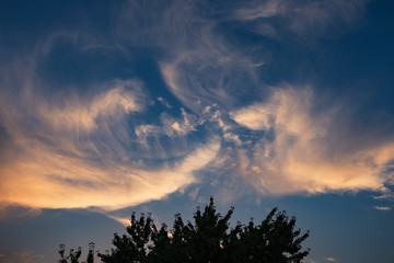 Fototapeta na wymiar Strange cloud formation above maple tree