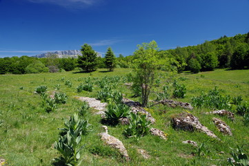 savoie- parc des bauges 