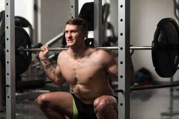 Fototapeta na wymiar Fitness Man Using Barbell Exercising Legs Inside Gym