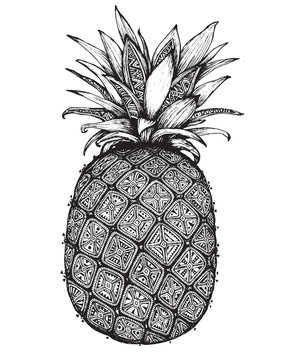 Hand drawn graphic ornate pineapple fruit.