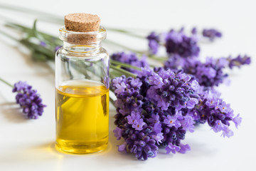 Fototapeta A bottle of essential oil with fresh lavender twigs obraz