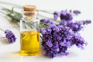 Foto op Canvas A bottle of essential oil with fresh lavender twigs © Madeleine Steinbach