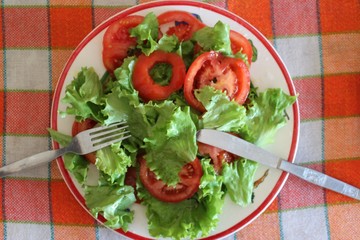 Fresh salad with tomatoes on the plate