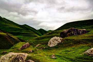 Meadow at Schalbus-Dag mountain at Dagestan, Caucasus Russia