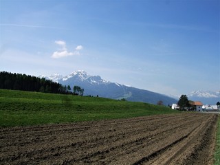 Felder und Wald in Österreich