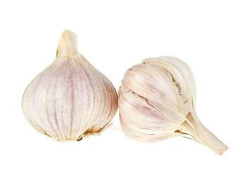 Closeup of pair garlic bulbs isolated on a white background