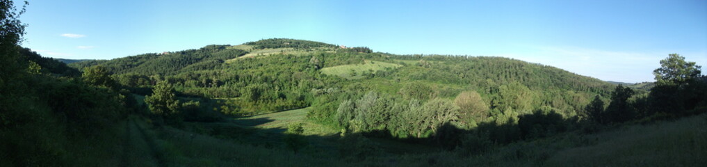 Fototapeta na wymiar Hügellige Landschaft in Italien mit Wald