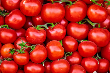 red tomatoes background. Group of tomatoes