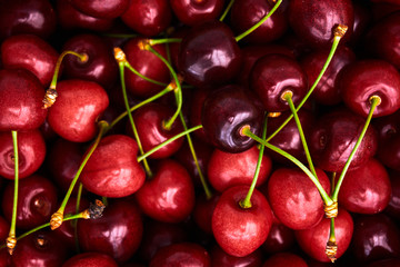 Cherries background. Sweet red cherries
