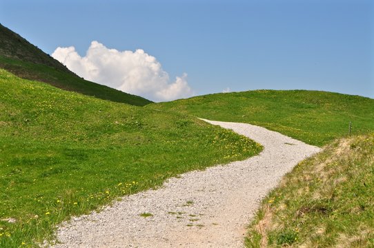 Weg durch Wiesen und H&uuml;gellandschaft mit blauem Himmel
