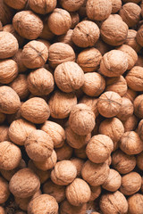 Many walnuts as natural background, horizontal image