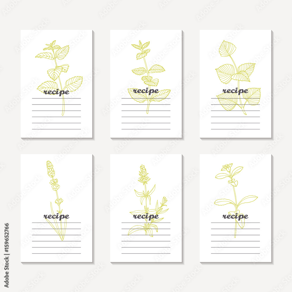 Wall mural Recipe cards collection with hand drawn spicy herbs. Sketched mint, melissa, perilla, lavender, hyssop, stevia