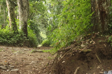 camino vecinal