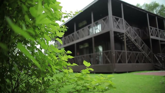 Beautiful modern house. house from behind a tree.