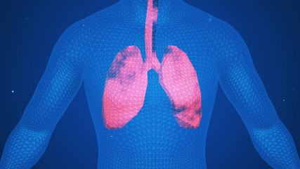 3D illustration of Lungs - Part of Human Organic.